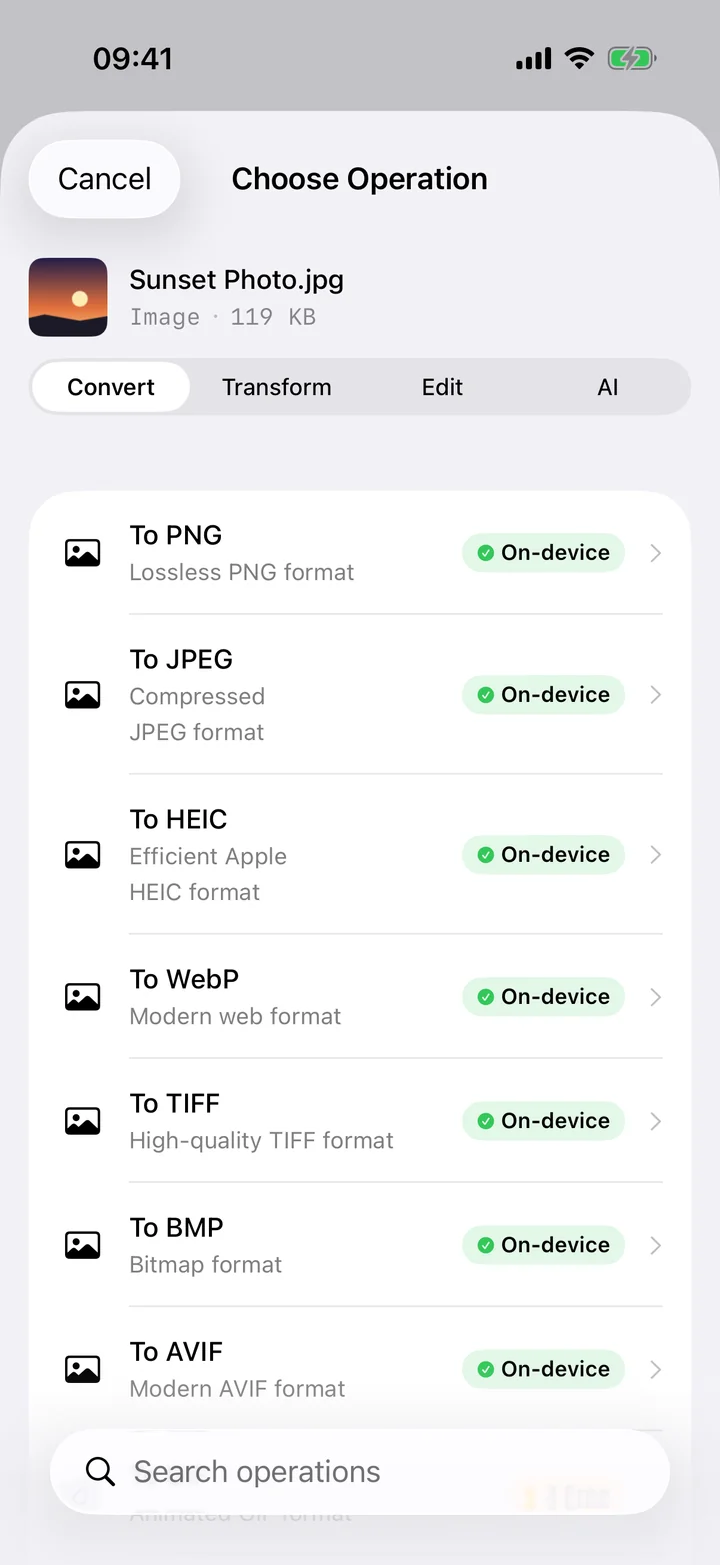 Filemorph showing image conversion options for a HEIC photo on iPhone