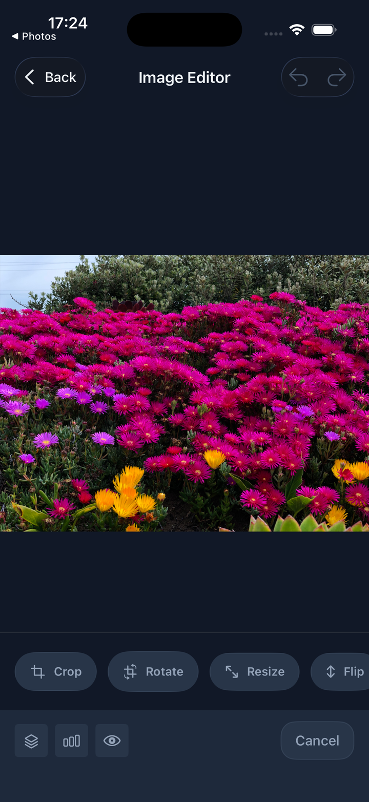 Built-in image editor with crop, rotate, resize, flip controls