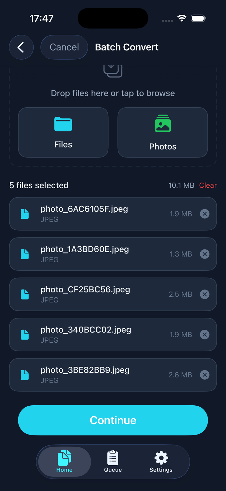 Batch convert screen with multiple files selected
