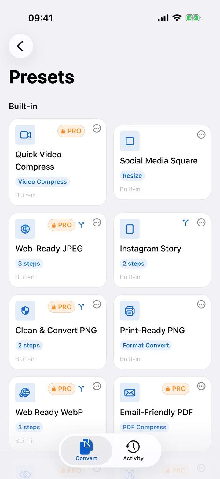 Built-in presets including Privacy Strip, Web-Ready JPEG and Print-Ready PNG